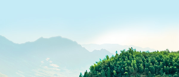 Stake(中国区)官方网站